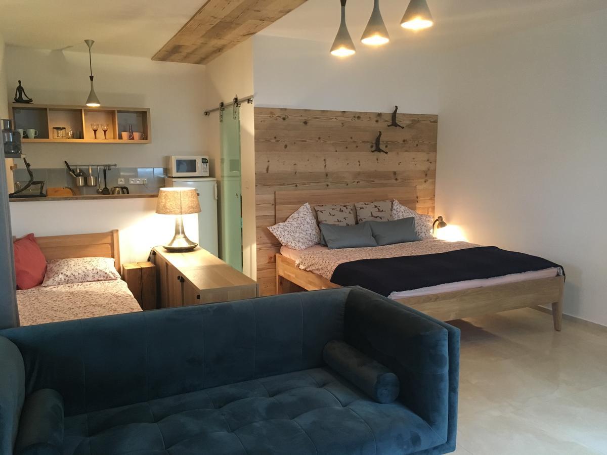 Pension Andante Spindleruv Mlyn Exterior photo